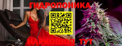 молекула духа Краснокаменск