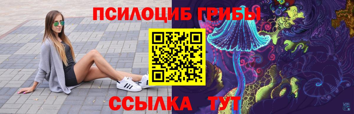 Урюпинск  купить наркоту  Вход с VPN  Псилоцибиновые грибы GOLDEN TEACHER  Псилоцибиновые грибы мицелий 